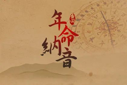 年命纳音查询
