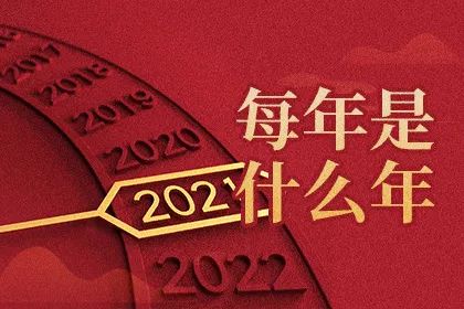 每年是什么年查询