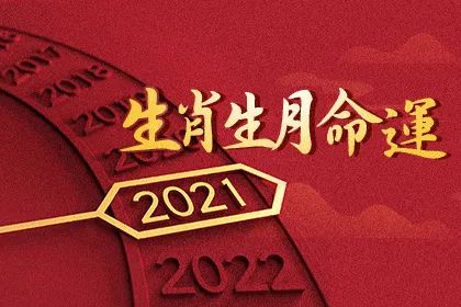 生肖生月分析