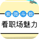 紫微斗数看职场魅力