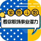 紫微斗数看你职场事业潜力