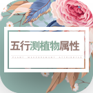 五行看你适合种什么植物