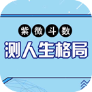 紫微斗数看你的人生格局