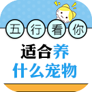 五行看你适合养什么宠物