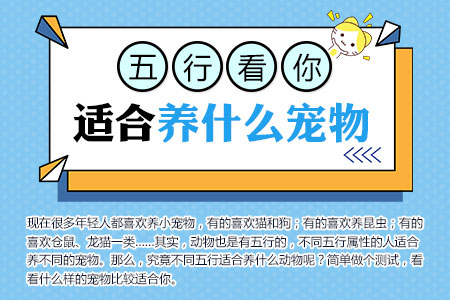 测你适合养什么宠物