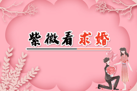 紫微看求婚