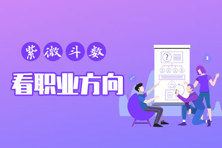 紫微斗数看职业