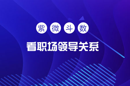 紫薇看事业