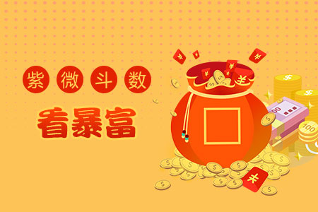 紫微斗数看财富