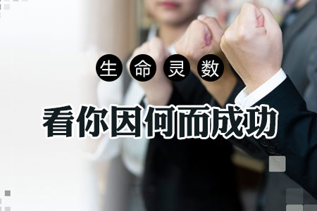 生命灵数看你因何会成功