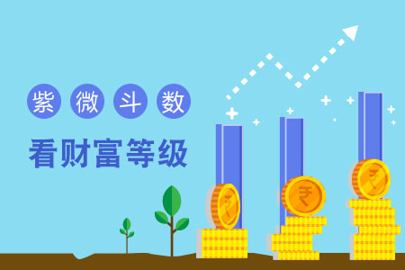 紫微斗数看终身财富