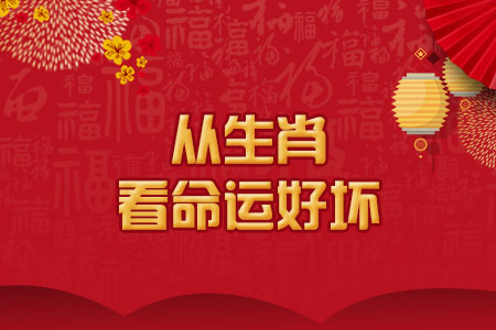 生肖测试命运如何