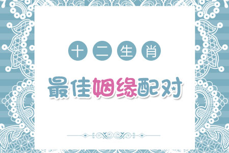 测试什么生肖最配对