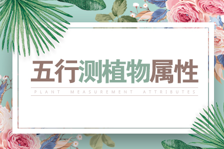 五行测植物属性